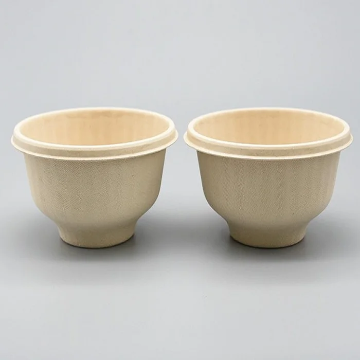 Disposable Tableware